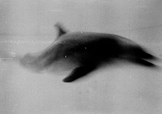 Photographs © Maria Chirco