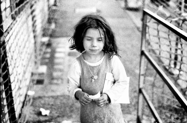 © Paula Jesus Brignardello