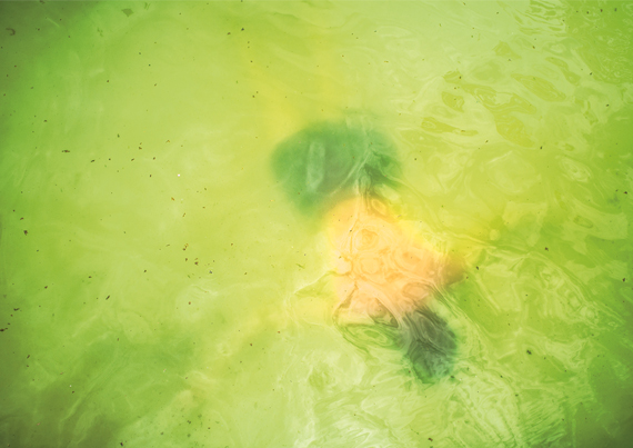 magnus_nygaard-fotobook07