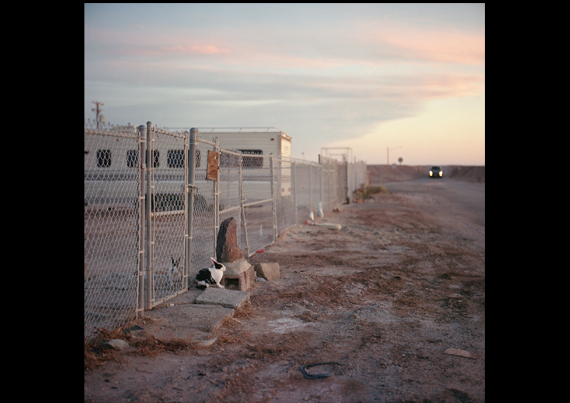 rhiannon_adam-fotobook07