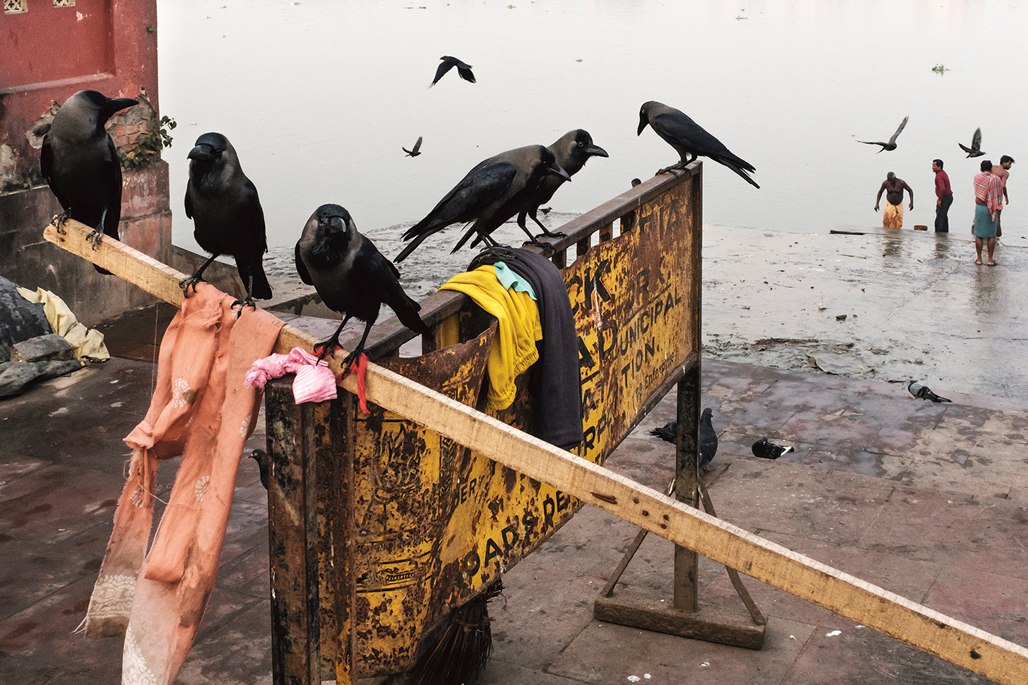 © Koushik Sinha Roy