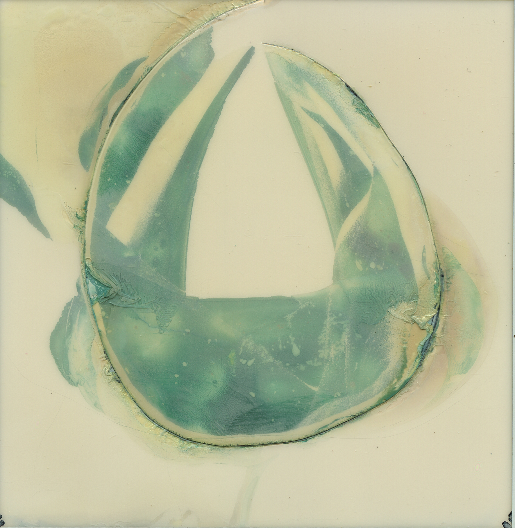 Photo © Mary Bertossi