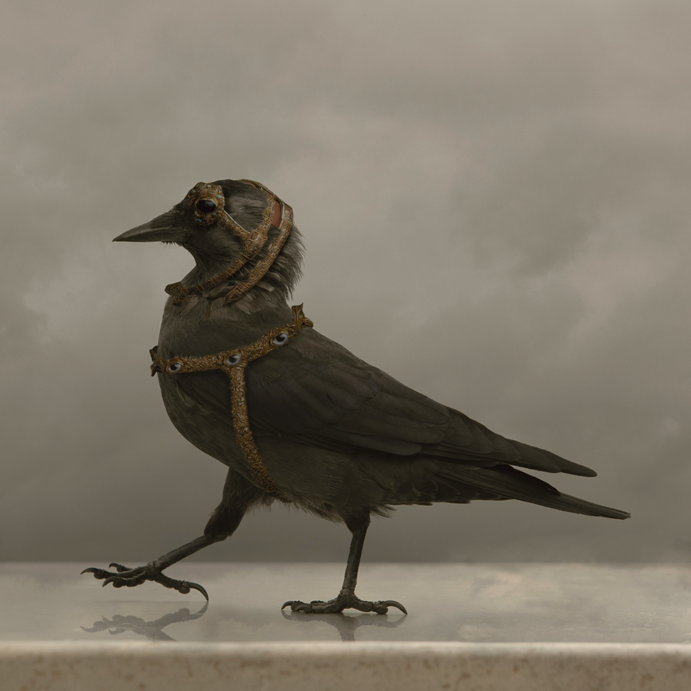 Photo © Kaat Stieber