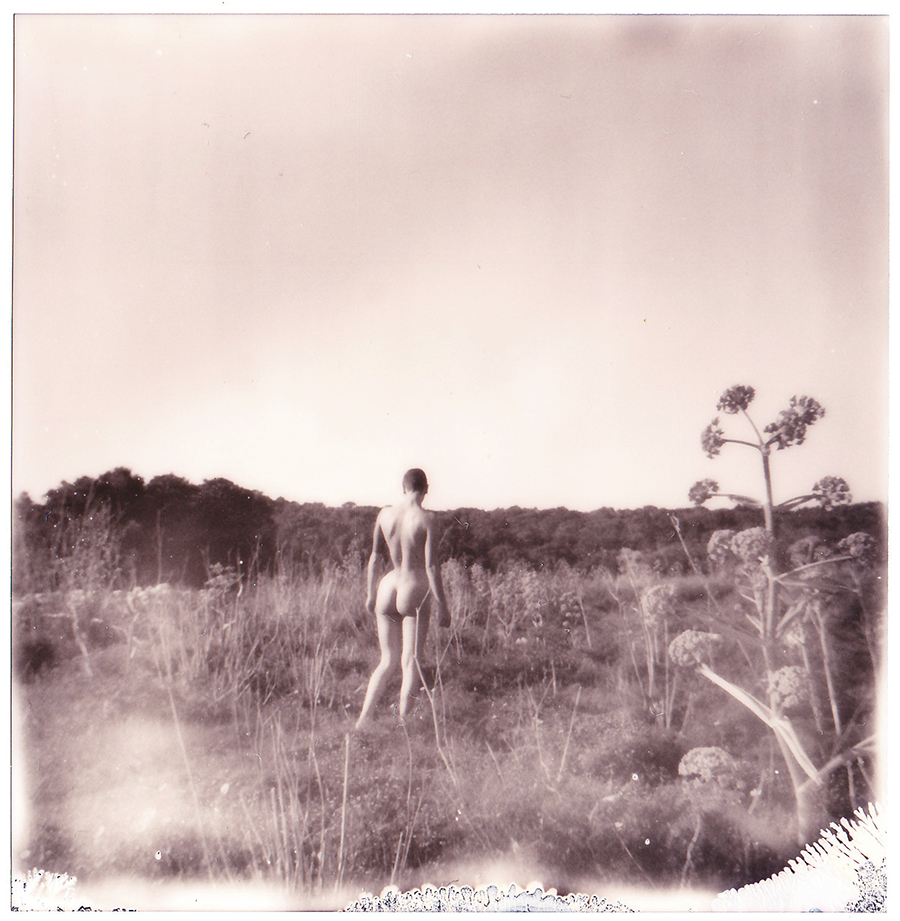 Photo © Sarah Bonaci